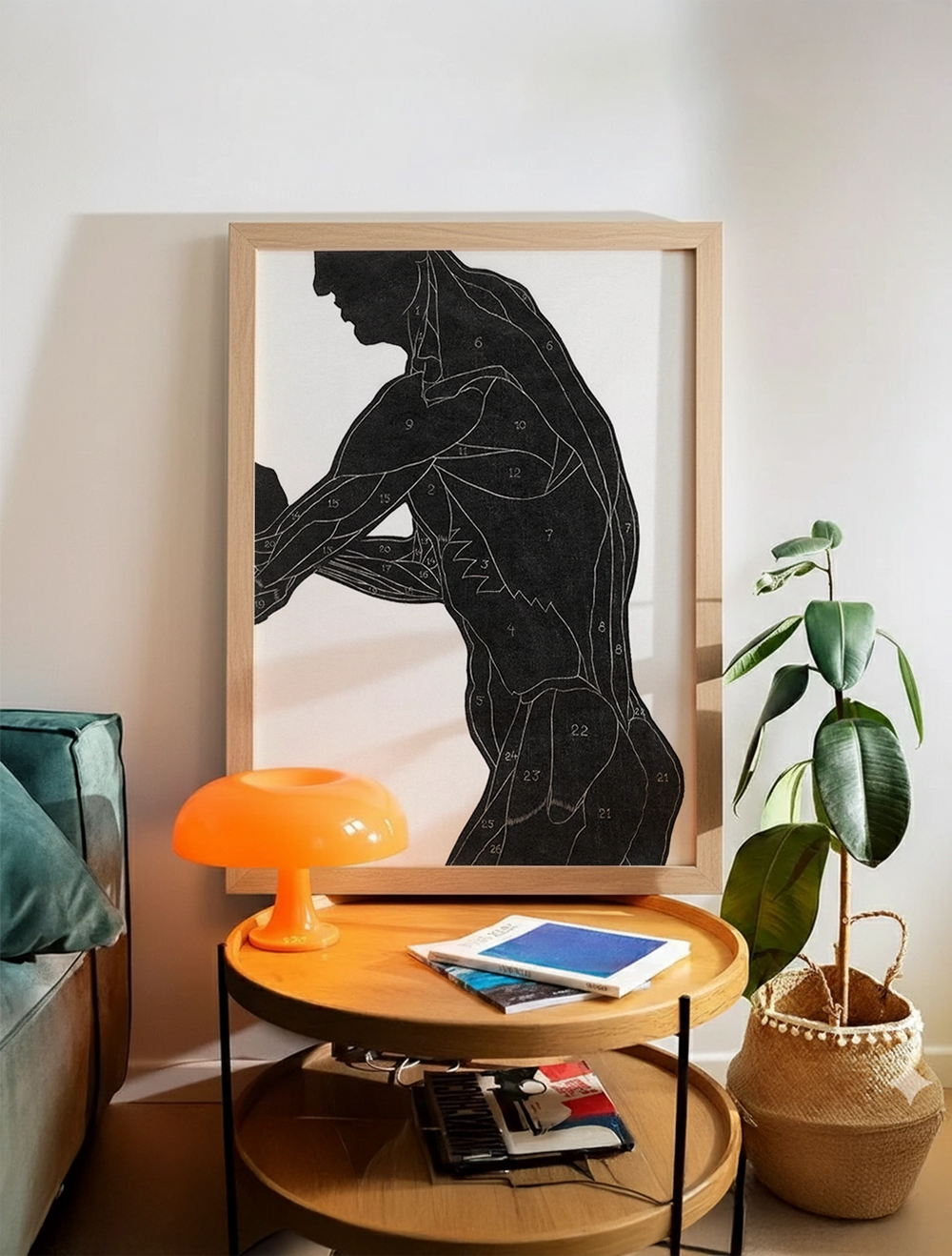 Anatomy of man III