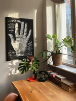 Open hand vista 2