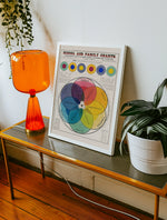 School and family charts I vista 3